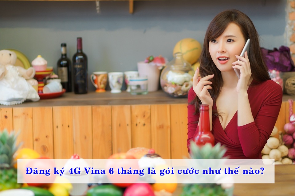 dang-ky-4g-vina-6-thang-la-goi-cuoc-nhu-the-nao-02