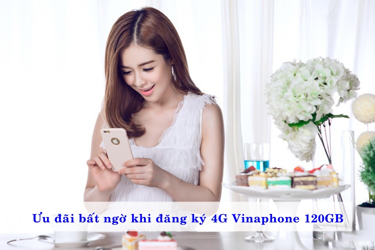 uu-dai-bat-ngo-khi-dang-ky-4g-vinaphone-120gb-0